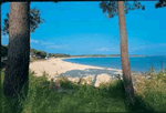 Beach holidays at Les Menhirs in Carnac Plage, Brittany