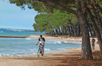 Beach holidays at Camping Bi Village in Pula, Croatia