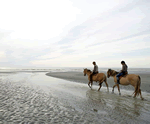 Beach holidays at Belle Dune in Fort Mahon Plage, Picardy