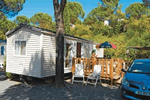 Beach holidays at La Pachacaid in Canadel, Cote d'Azur