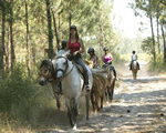 Beach holidays at Le Vieux Port in Messanges, Gascony