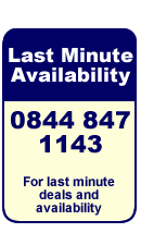 Last minute holiday availability